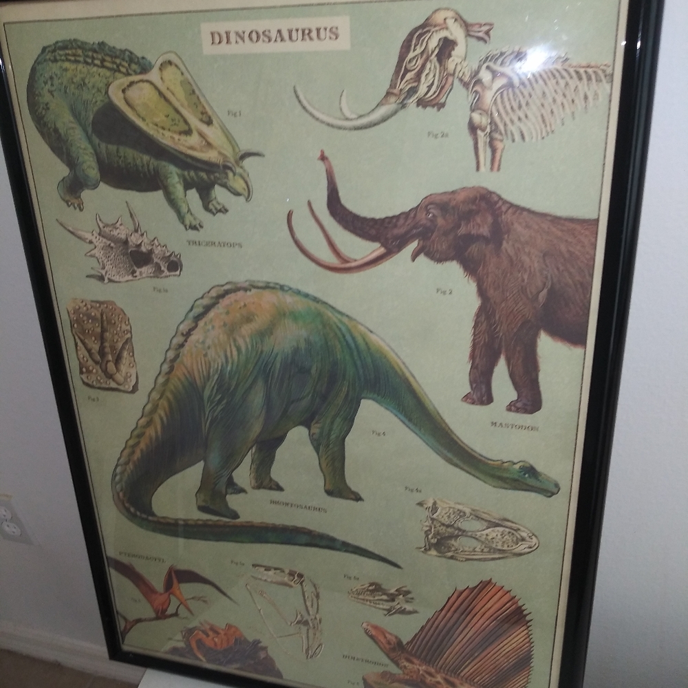Framed dinasour print 21.5"x 29". Unknown maker.$0 $25